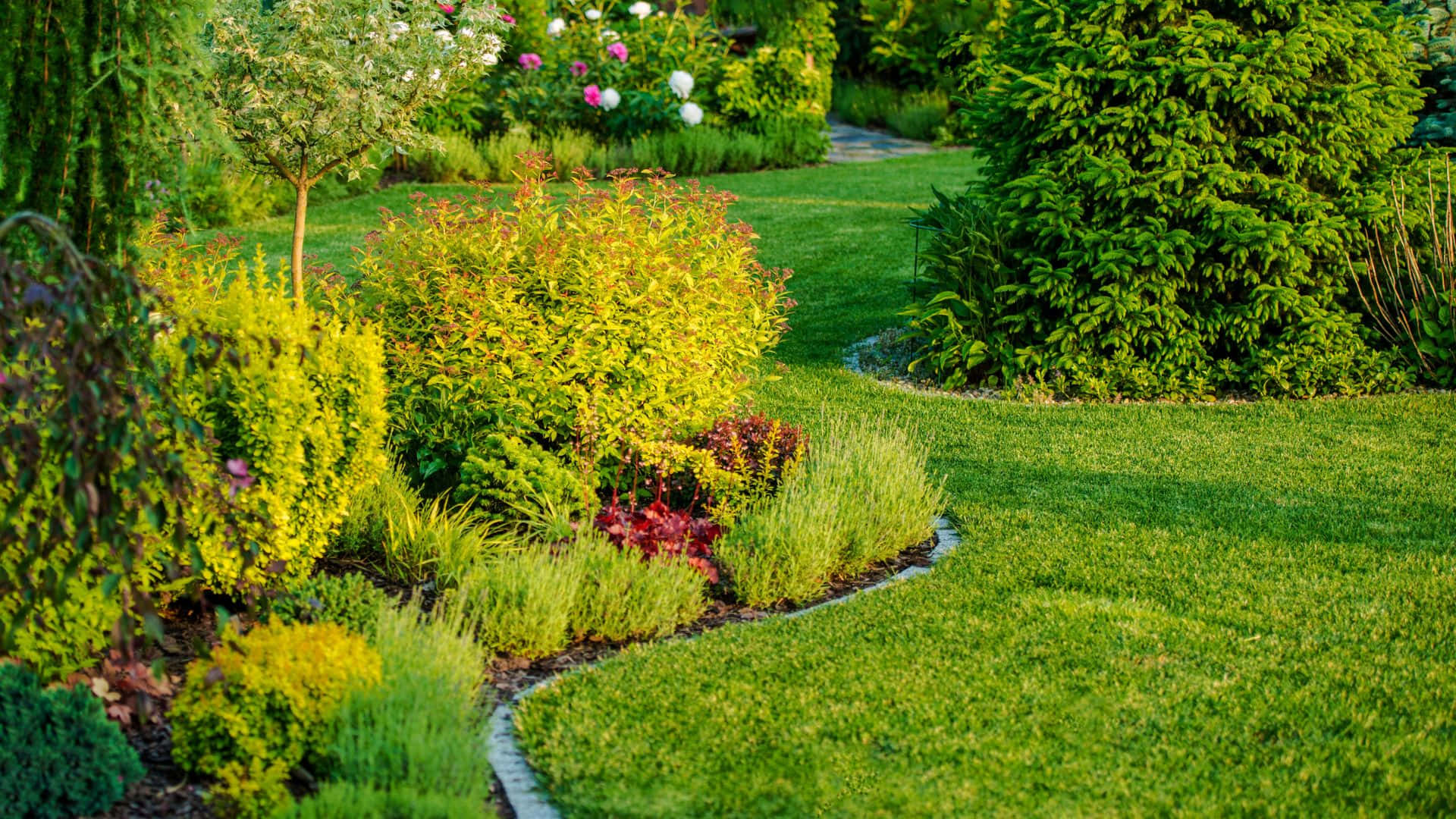 A Serene Garden Oasis with a Modern Twist Wallpaper