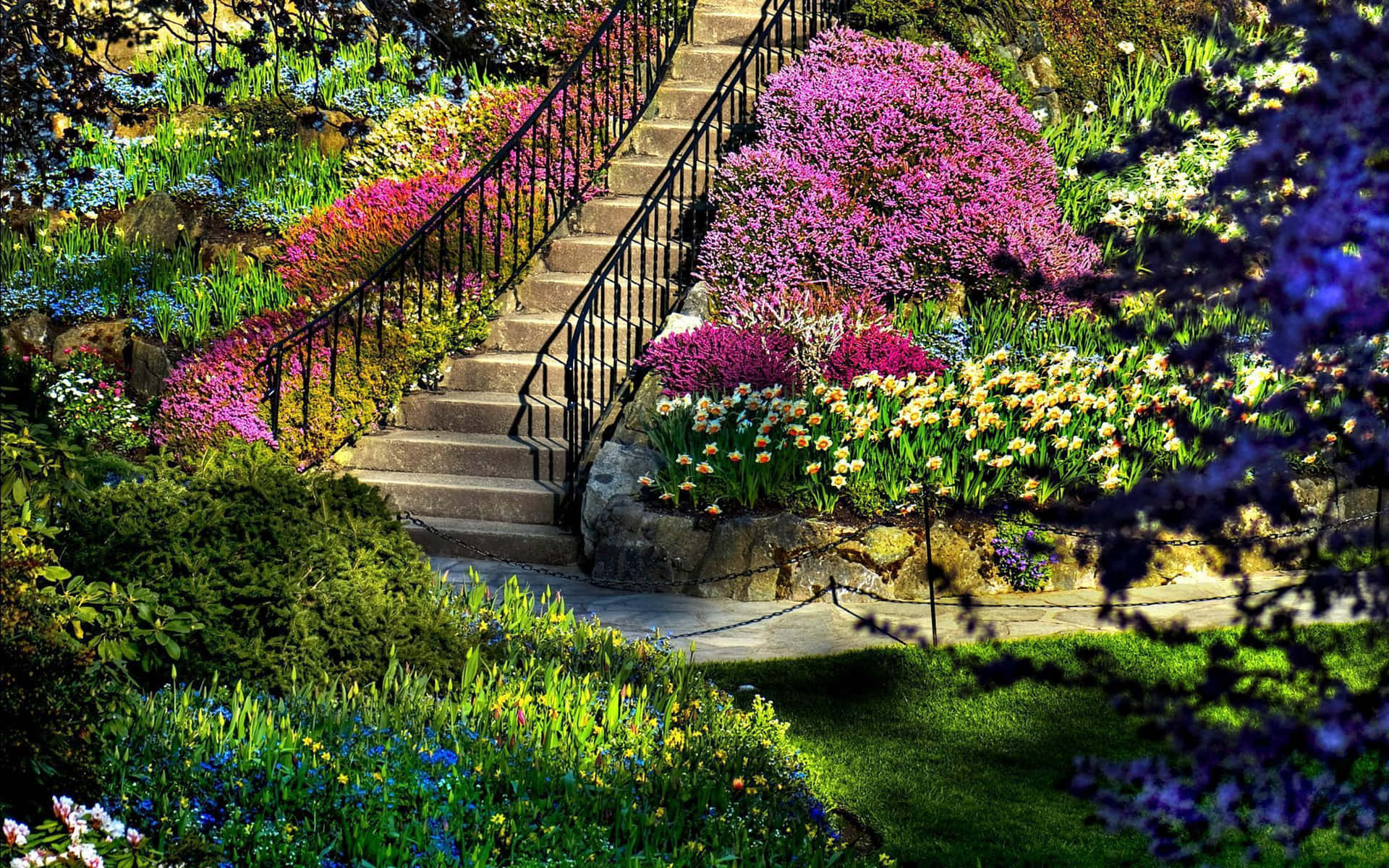 Beautiful Garden with Vibrant Colors Wallpaper