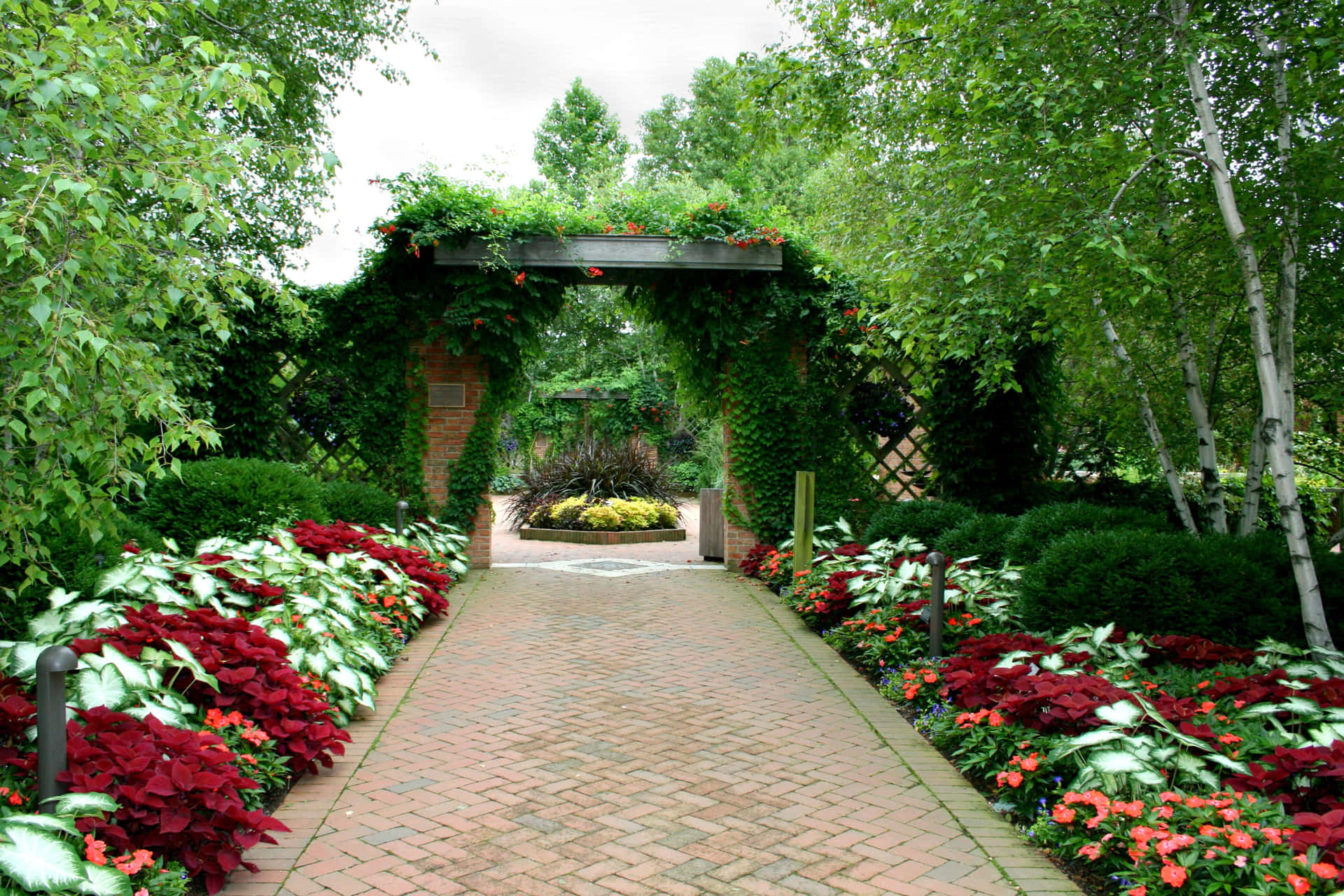 Prachtig En Serene Tuinlandschap Achtergrond