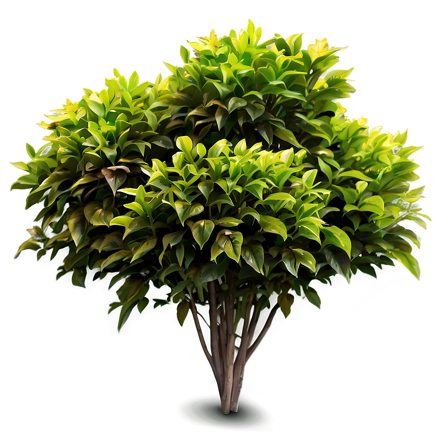 Garden Flower Bush Png 65 PNG