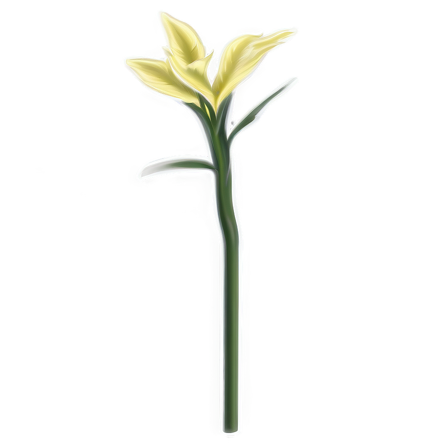 Garden Flower Stem Png 06132024 PNG