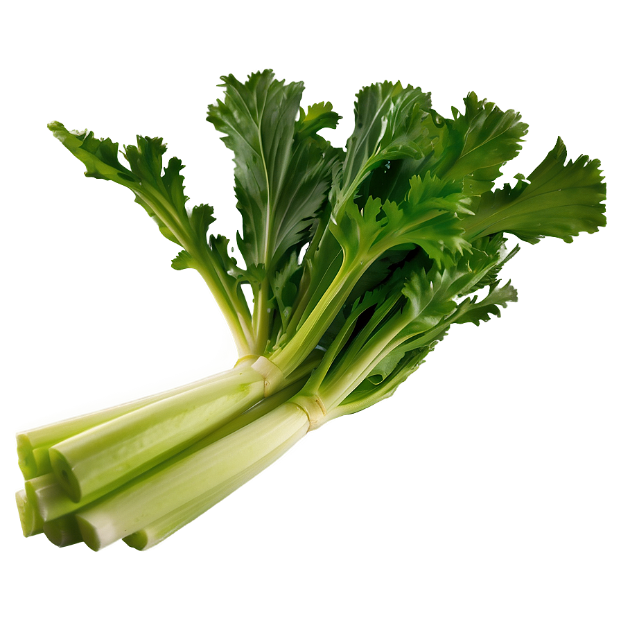 Garden Fresh Celery Png Ifj80 PNG