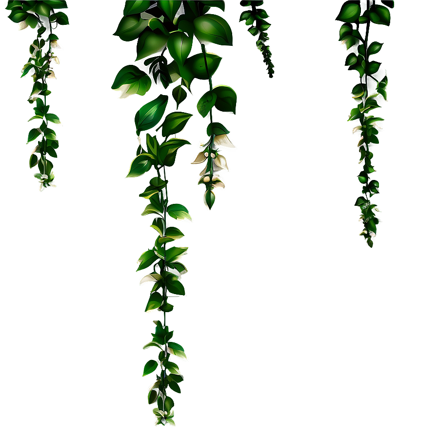 Download Garden Hanging Plant Png 05252024 | Wallpapers.com