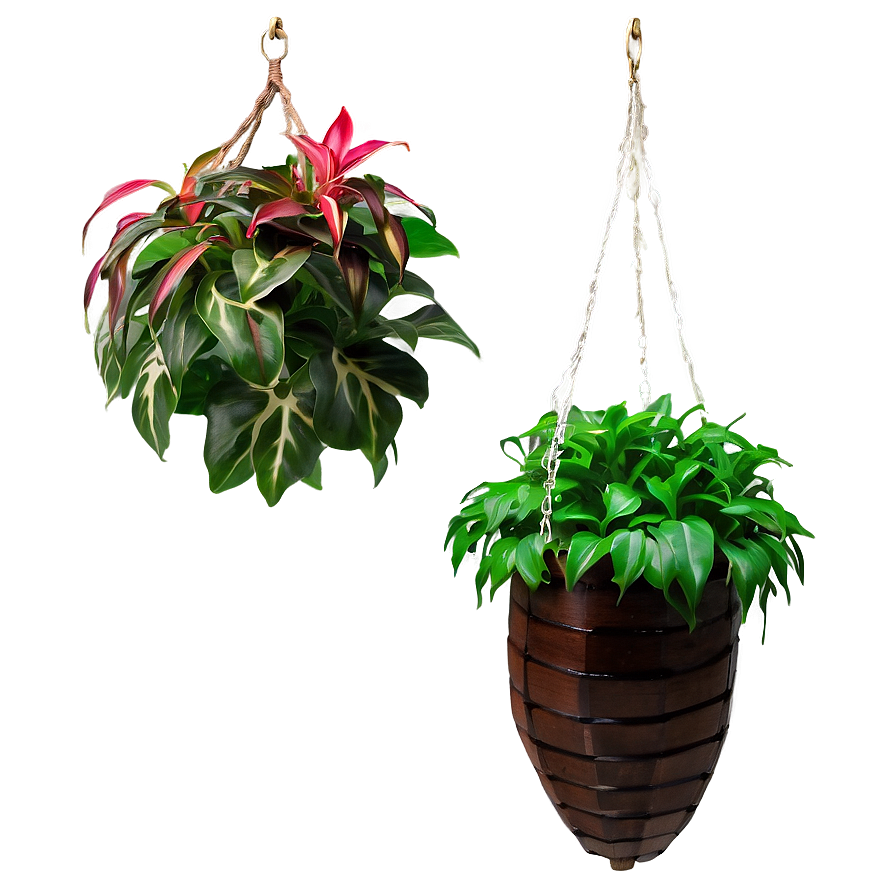 Garden Hanging Plant Png 05252024 PNG