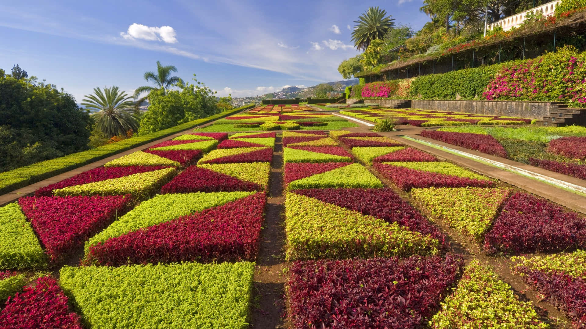 Captivating Garden Pathway Wallpaper