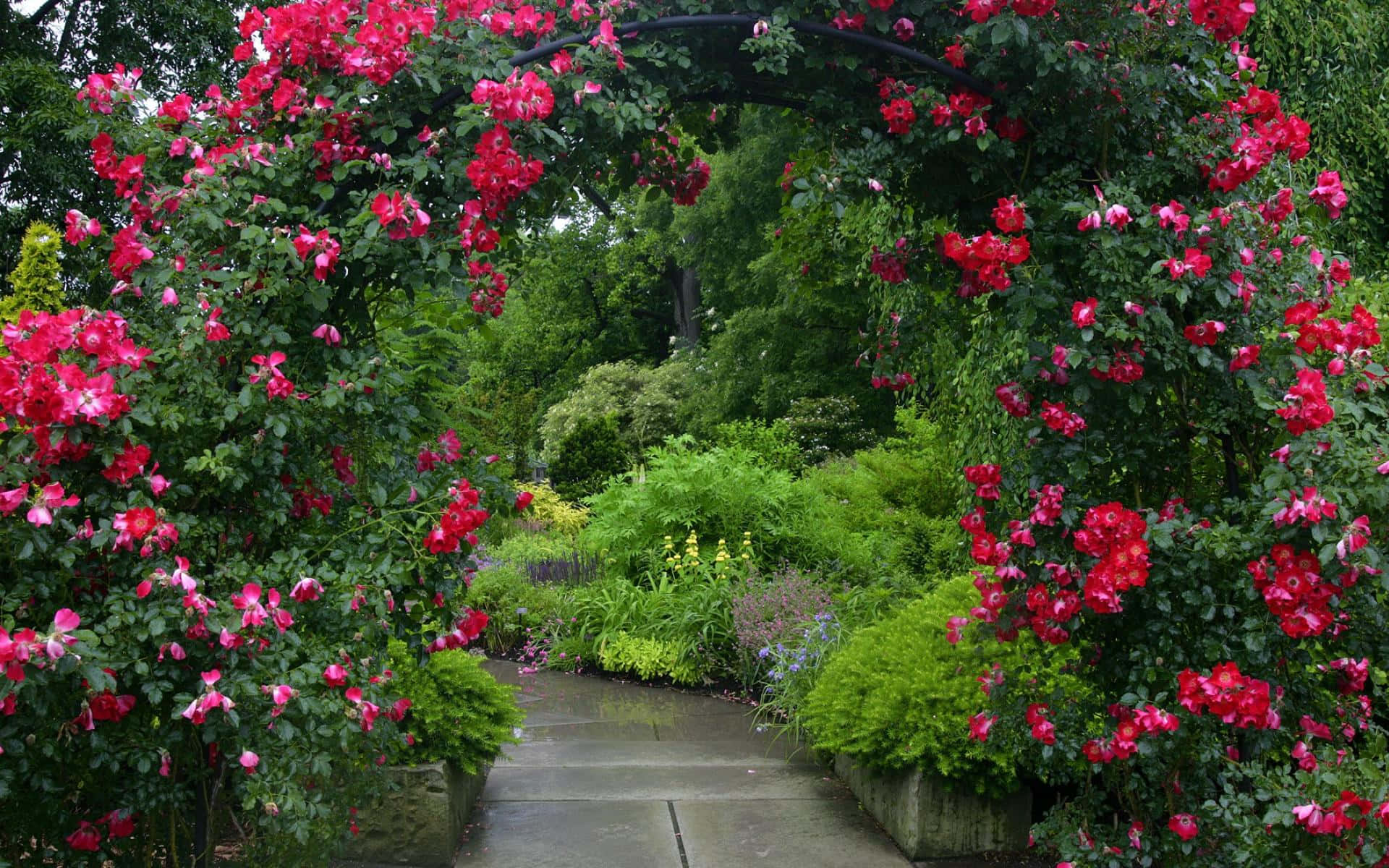 A Magical Garden Pathway Surrounded by Blooming Flowers and Lush Greenery Wallpaper