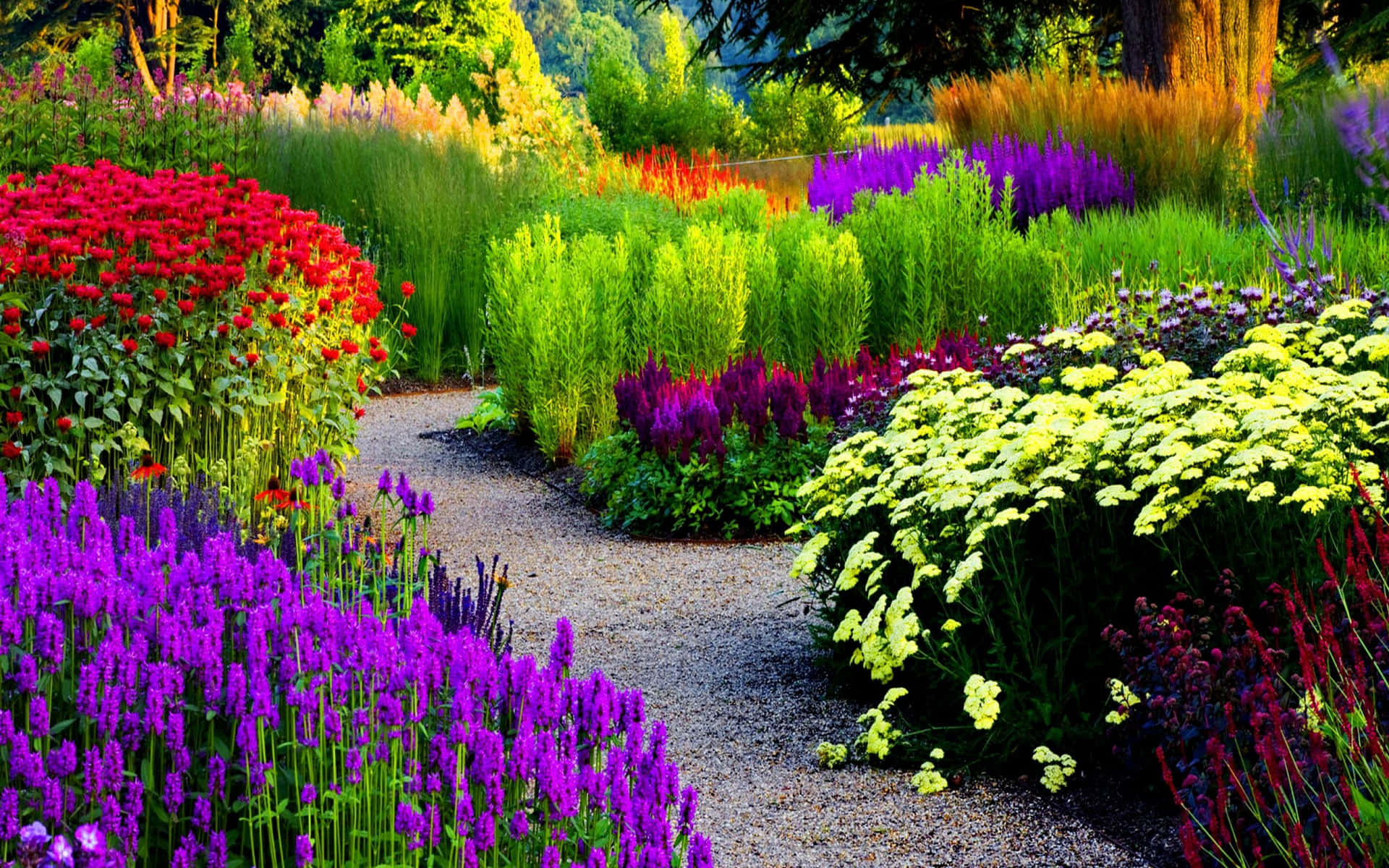 Captivating Vibrant Garden View Wallpaper