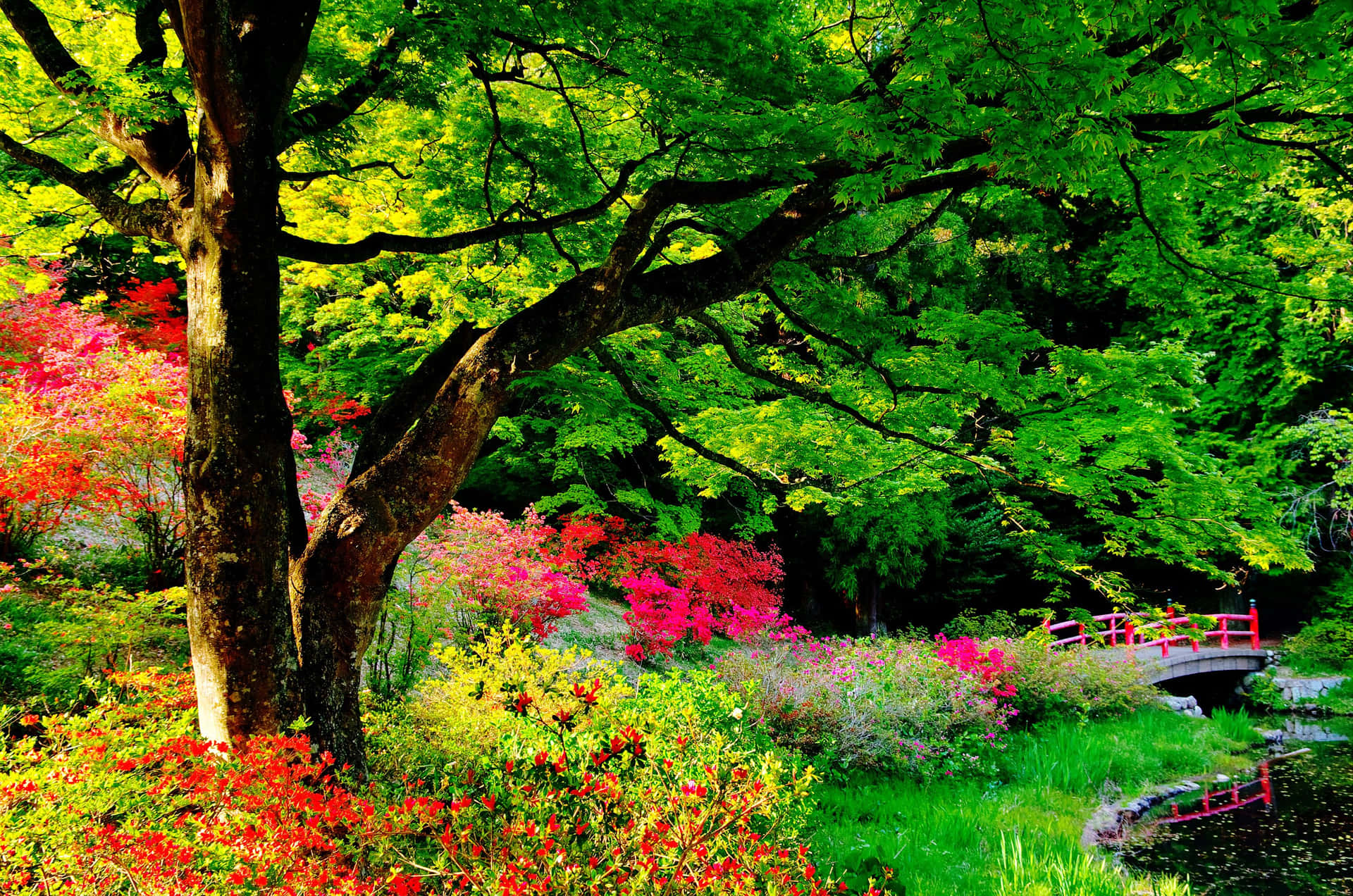 Garden Wallpaper Photos, Download The BEST Free Garden Wallpaper Stock  Photos & HD Images