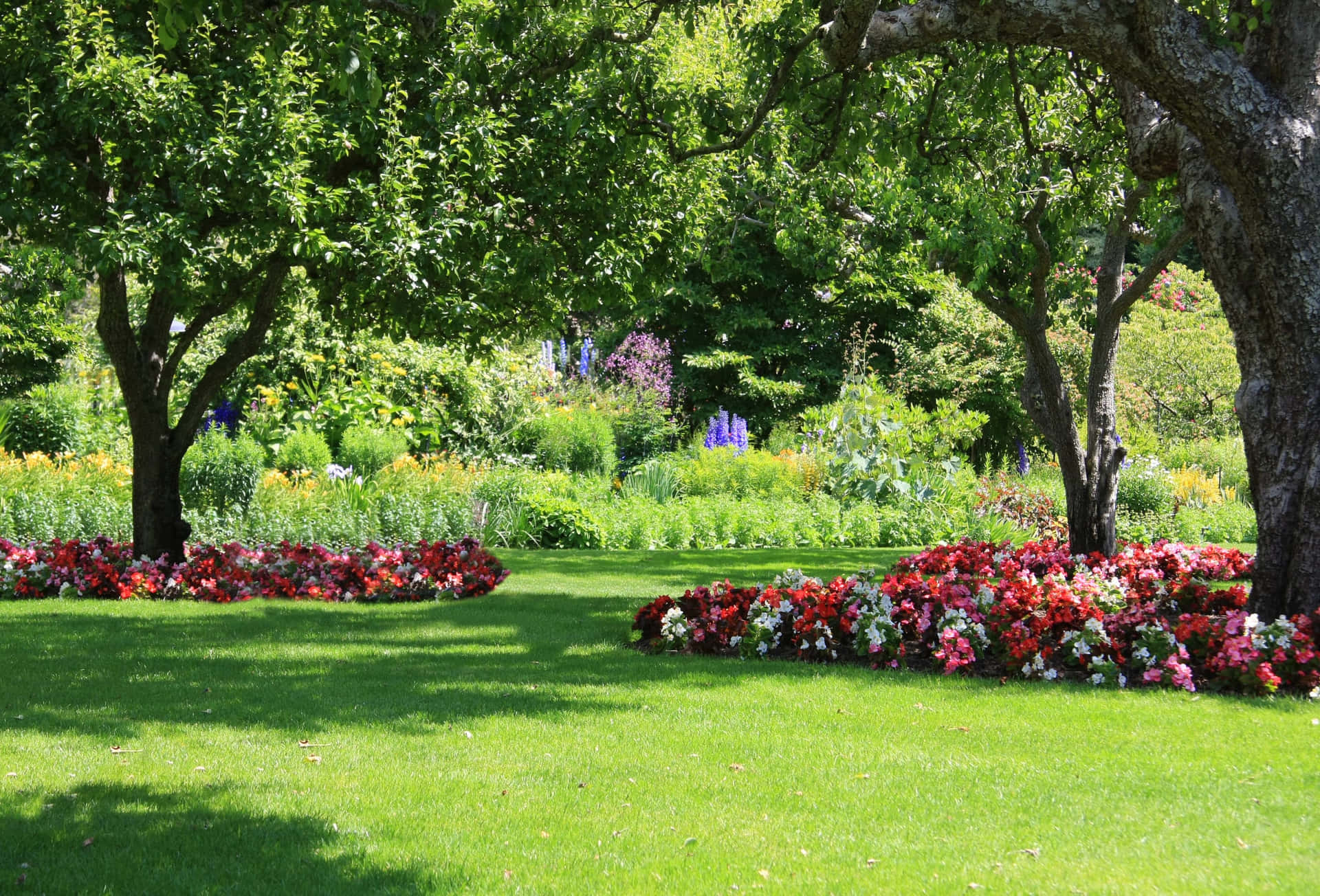 Bringensie Die Schönheit Der Natur Mit Einem Üppigen Und Lebendigen Garten In Ihr Zuhause!