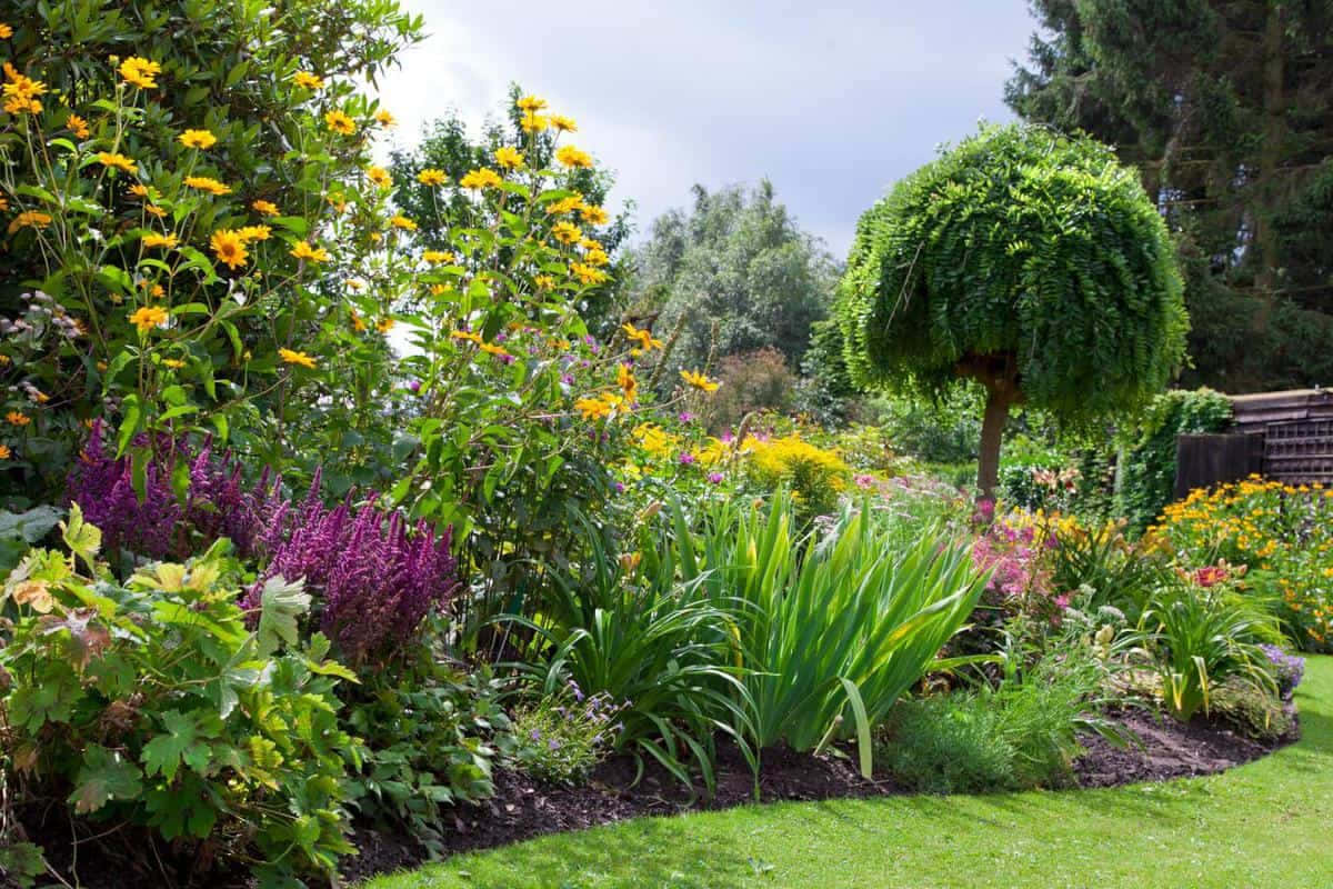 A Garden With Many Different Flowers And Plants