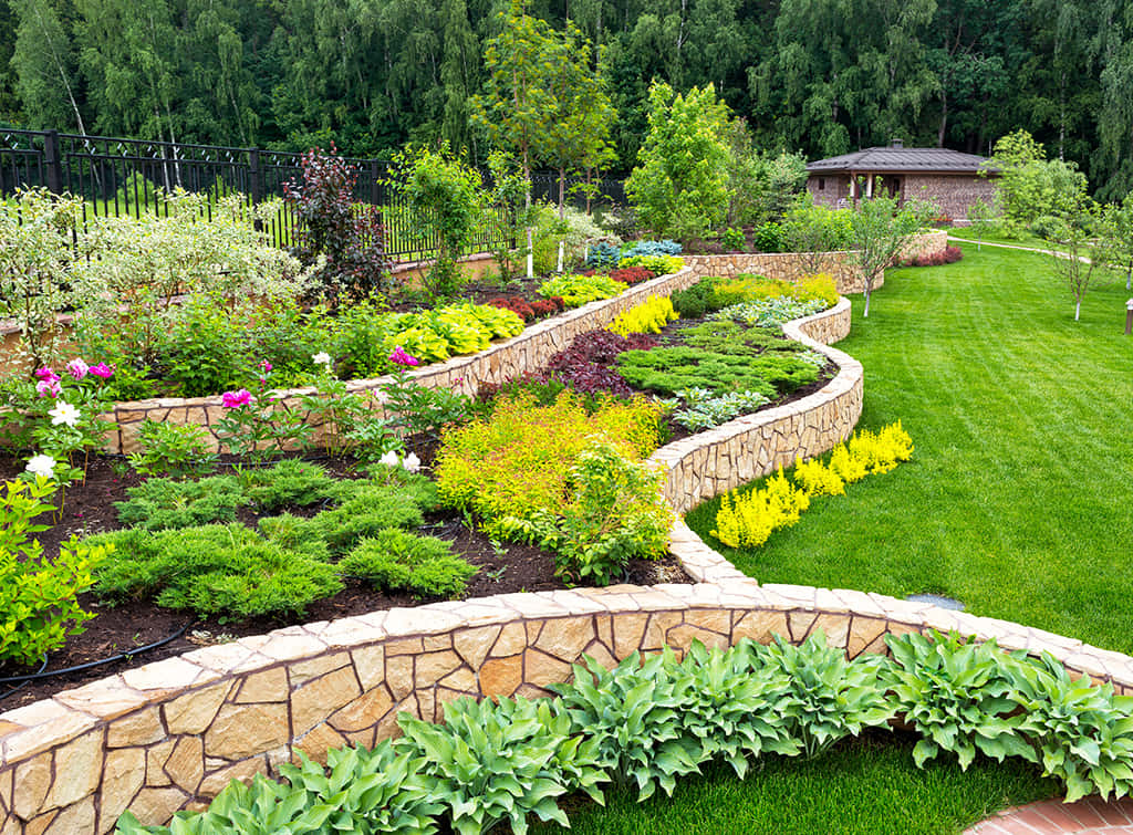 A Beautiful Scenic Garden Propagating Growth and Color