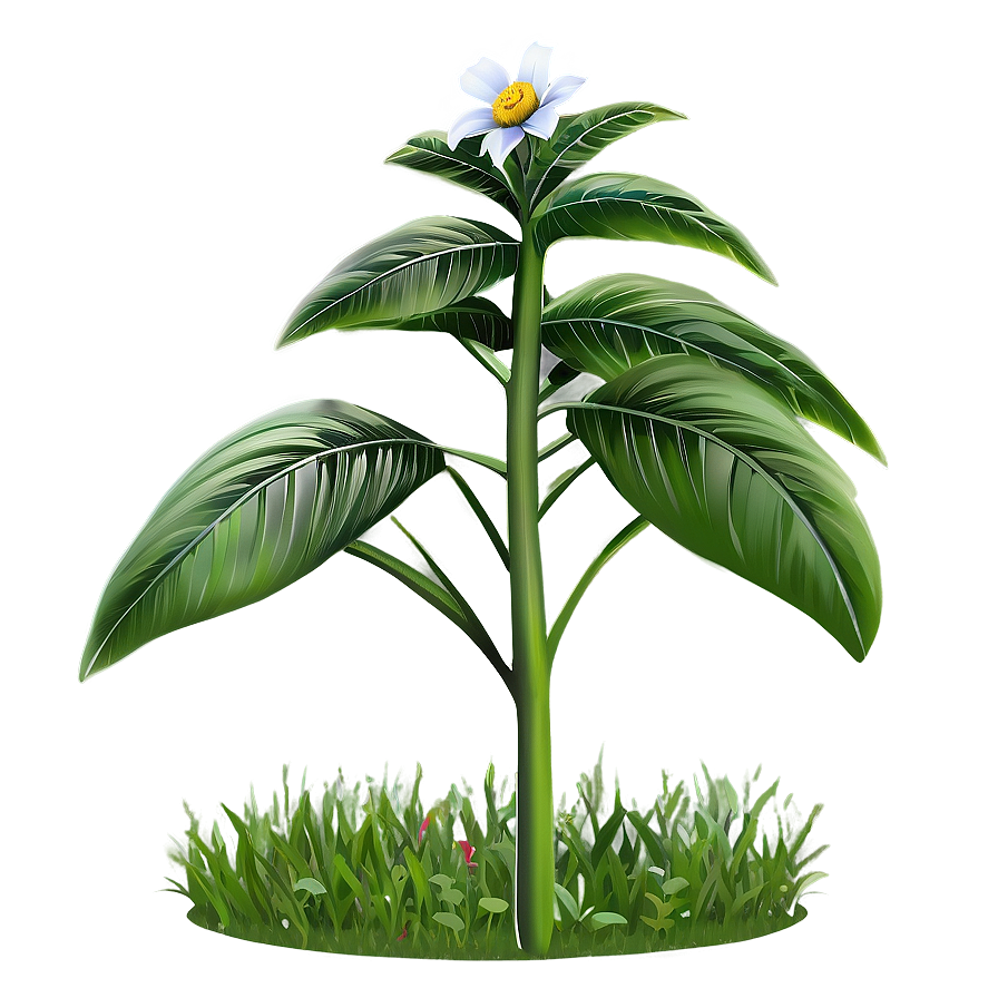 Garden Plant Png 38 PNG