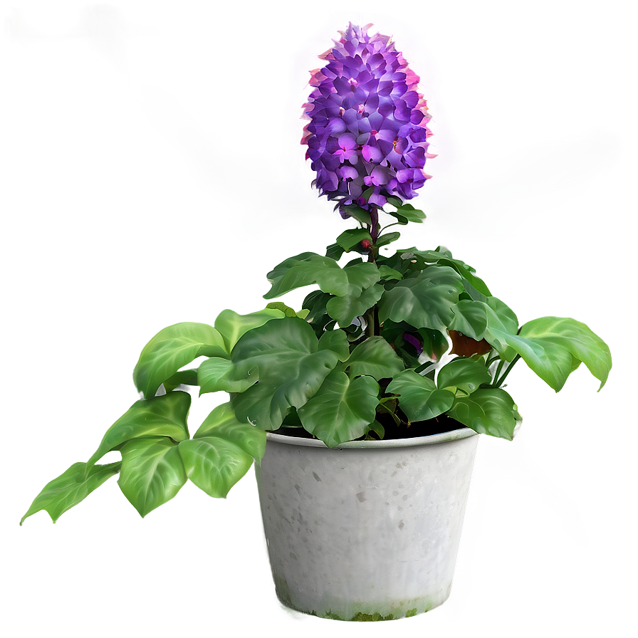 Garden Plant Png Ffg70 PNG