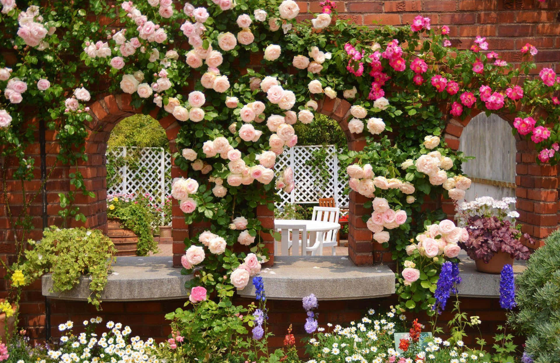 Immaginedi Rose Da Giardino Su Un Muro Di Mattoni