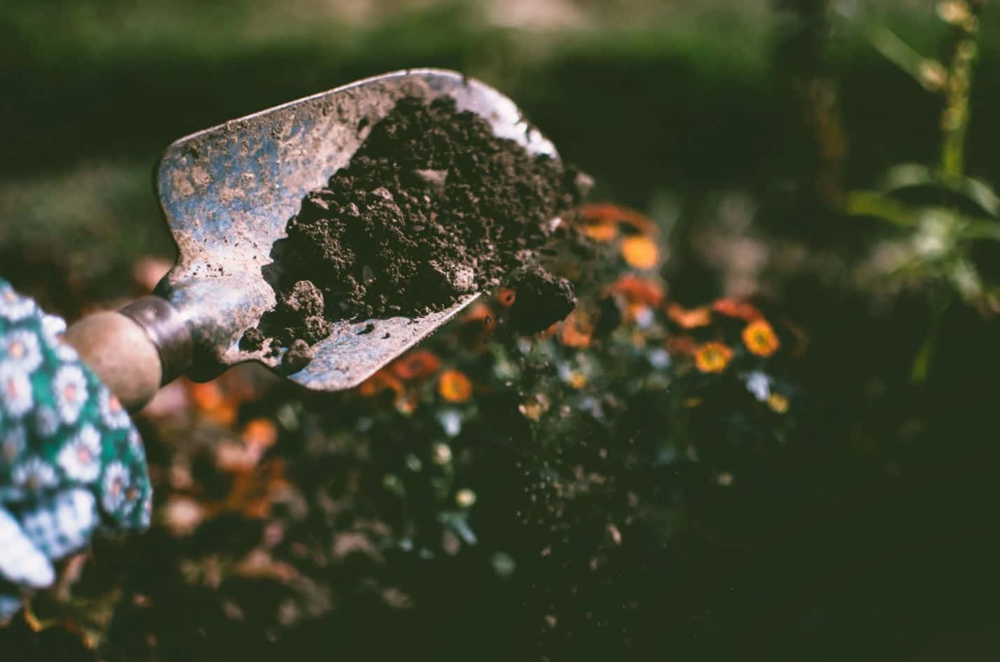 Garden Shovel With Natural Soil Wallpaper