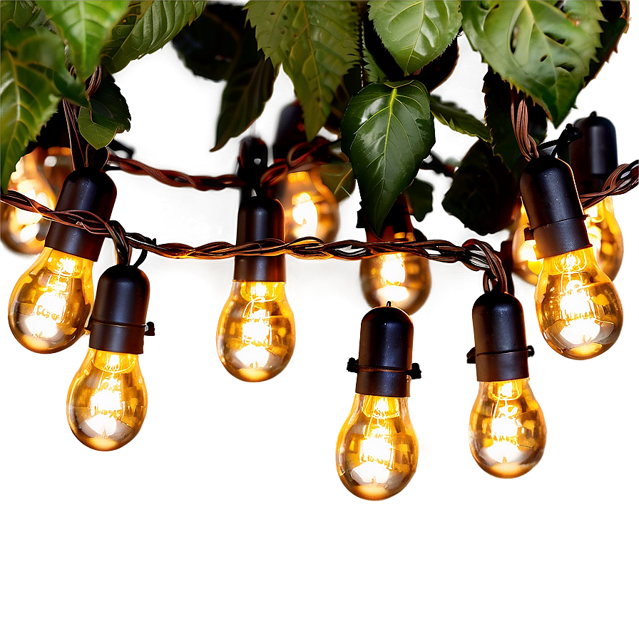 Garden String Lights Png 05252024 PNG