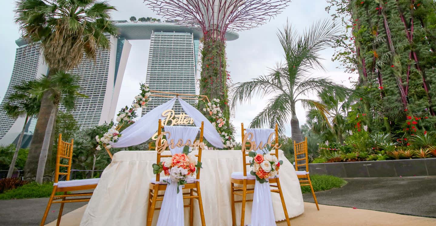 Enchanting Garden Wedding Ceremony Set Up Wallpaper