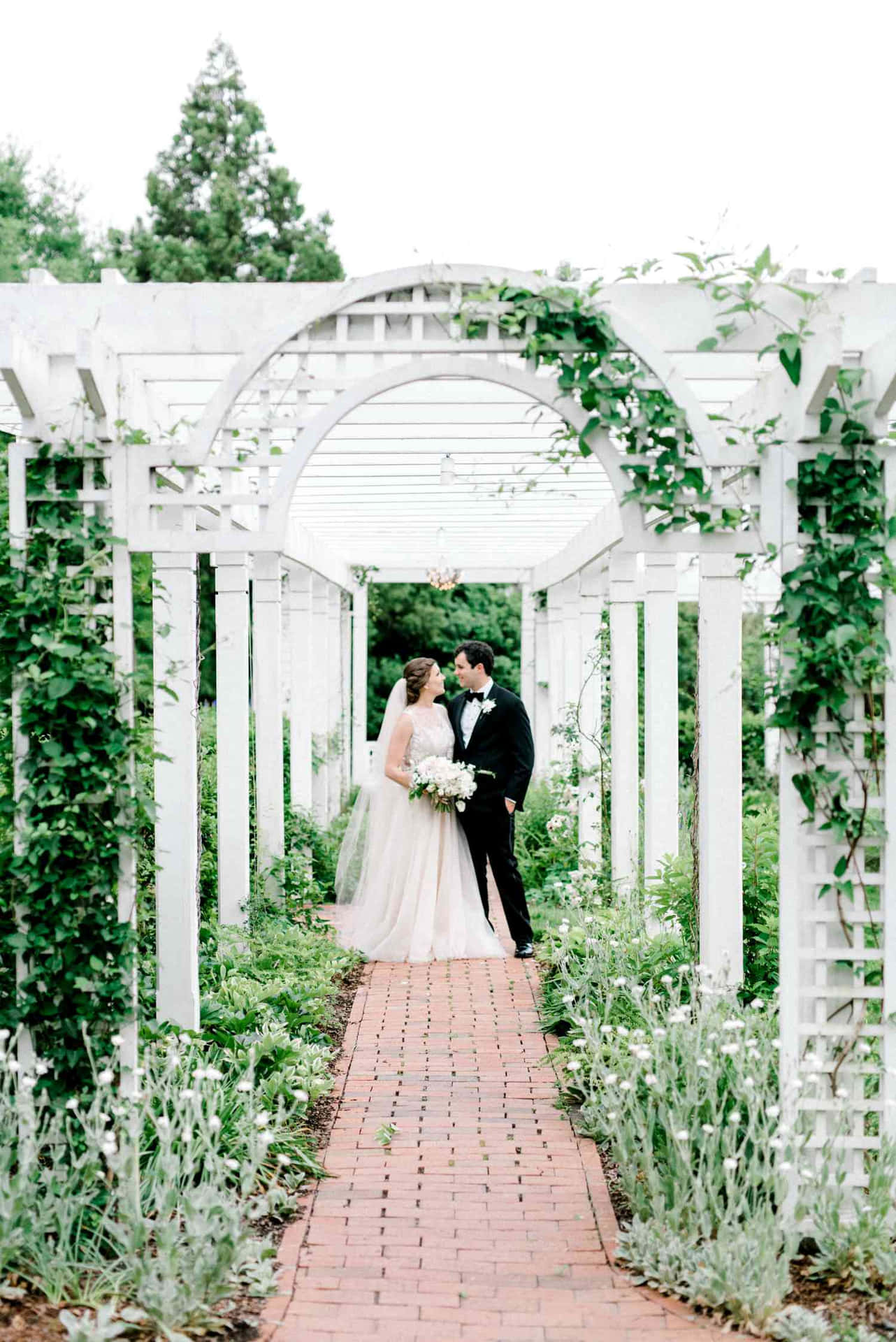 Elegant Garden Wedding Ceremony Setup Wallpaper