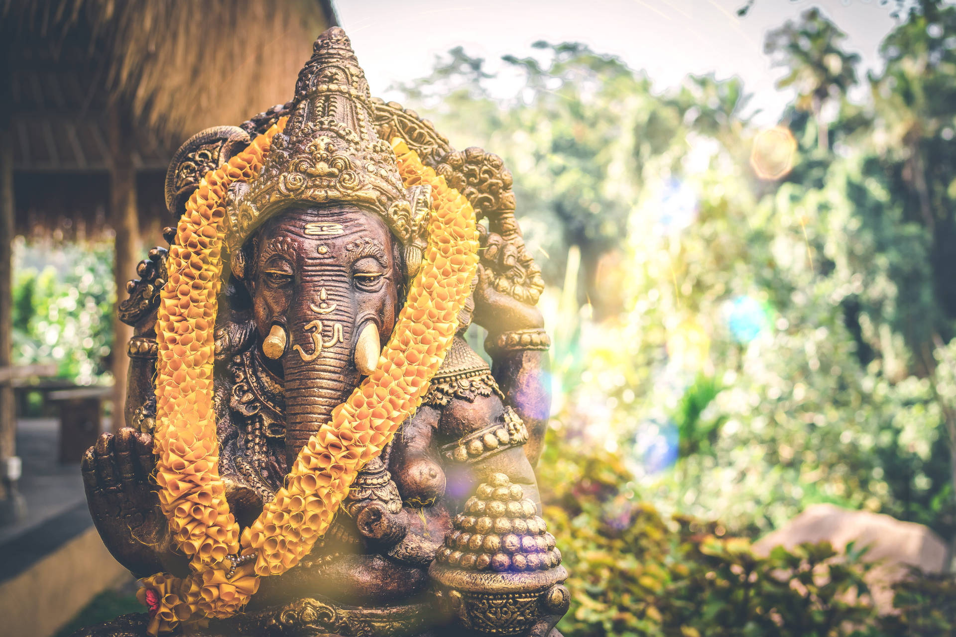 Jardíncon Ganesh En Alta Definición Completa Fondo de pantalla