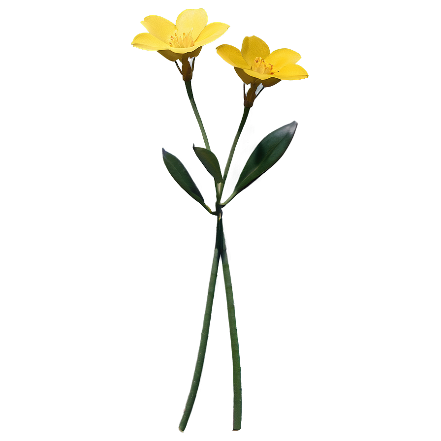 Garden Yellow Flowers Png 06122024 PNG