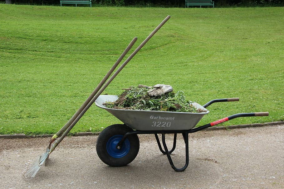 Gardener Equipment Wheelbarrow Grass Lawn Wallpaper