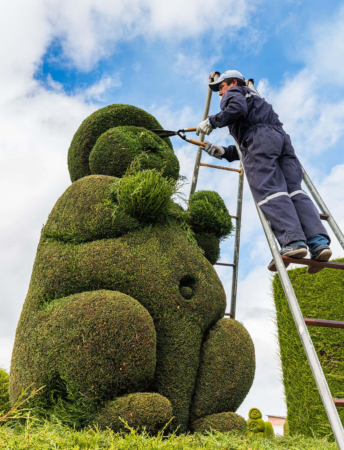 Gardener Maintaining Topiary On A Bush Wallpaper