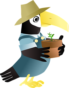 Gardener Toucan Cartoon PNG