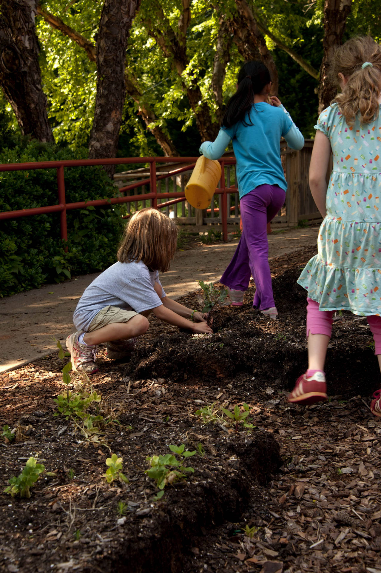 Young Kids enthusiastically participating in a gardening activity. Wallpaper