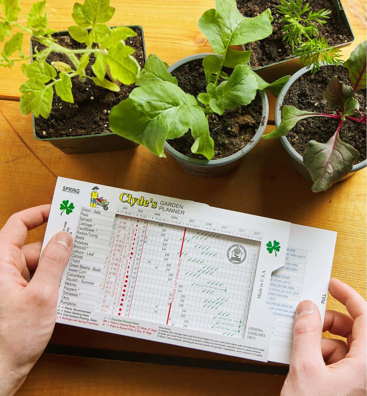 A Person Holding A Gardening Calendar With Plants On It