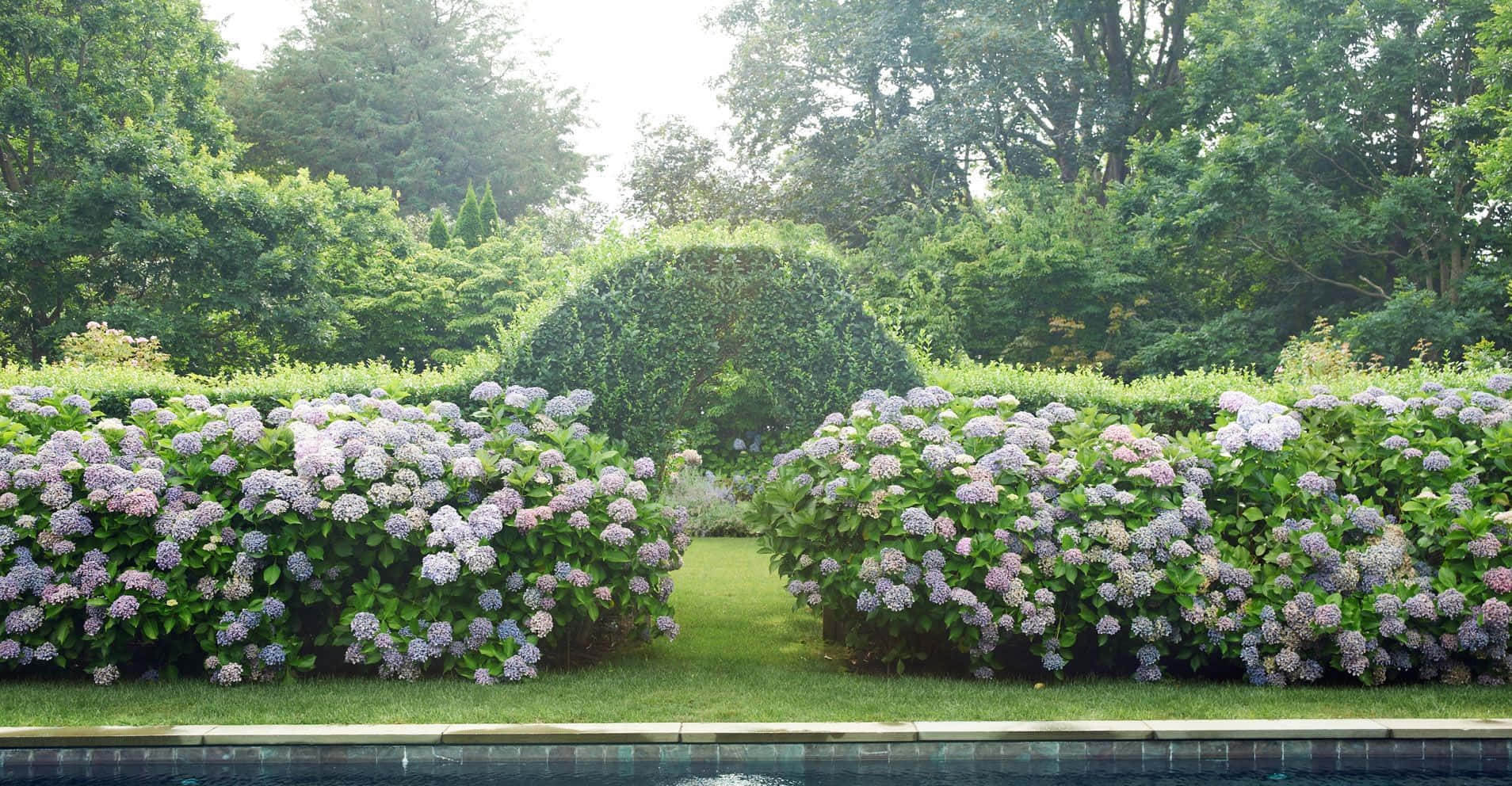 A Pool With Lilacs And Bushes In The Background