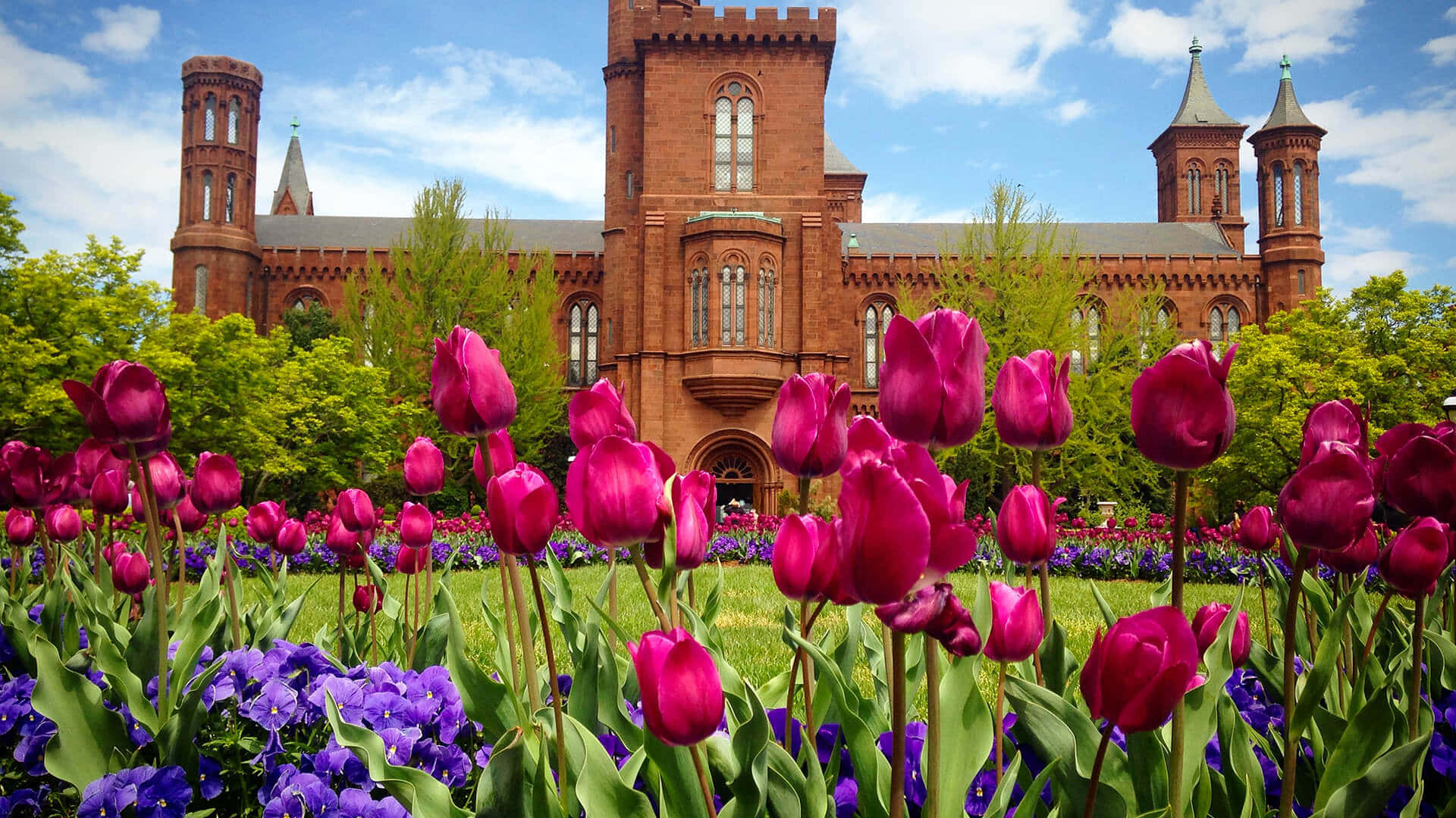 A Large Brick Building With Purple Tulips In Front Of It