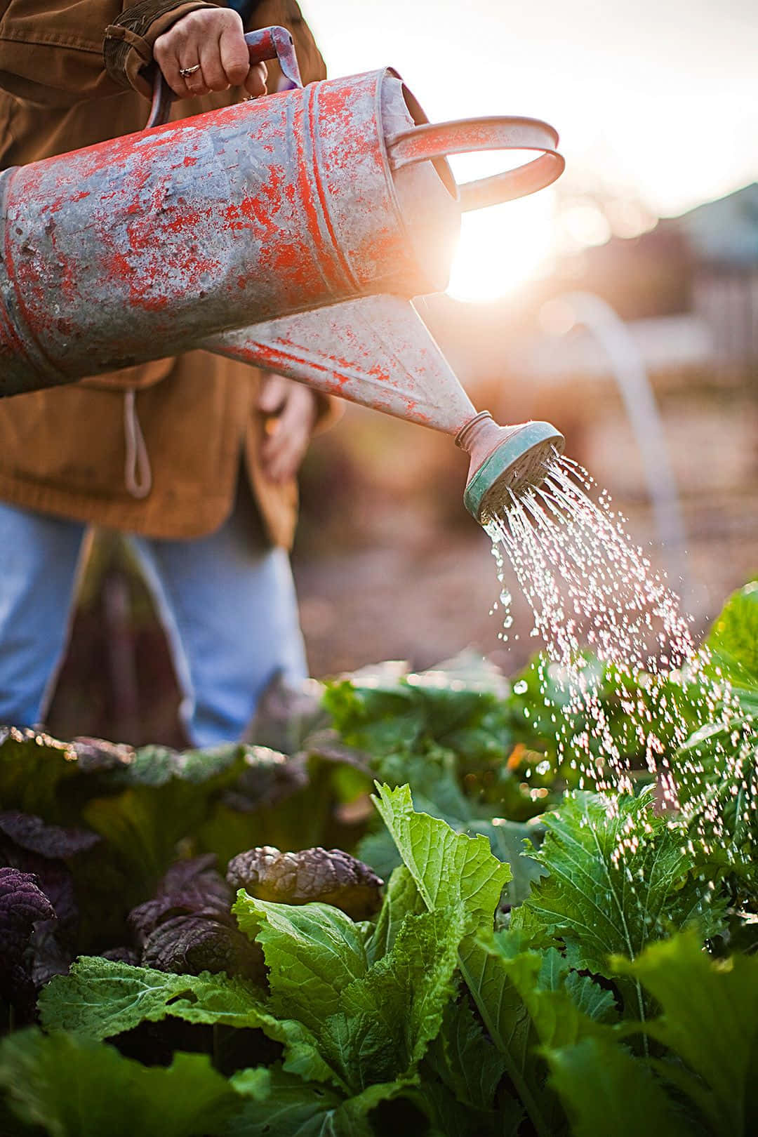 Get your garden ready for spring with these helpful tips!