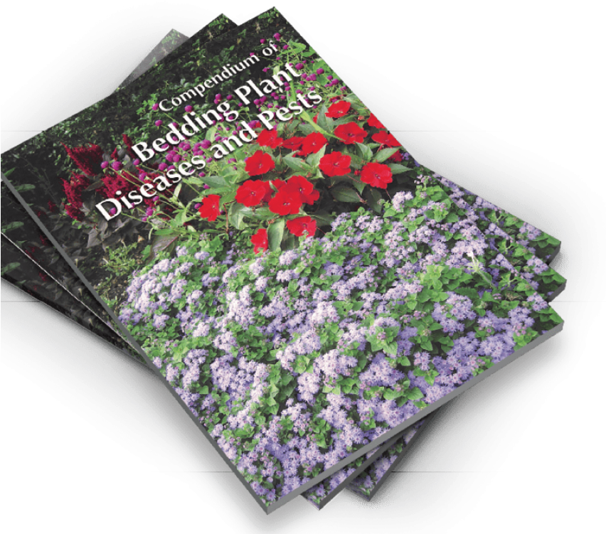 Gardening Book Periwinkle Diseases Pests PNG