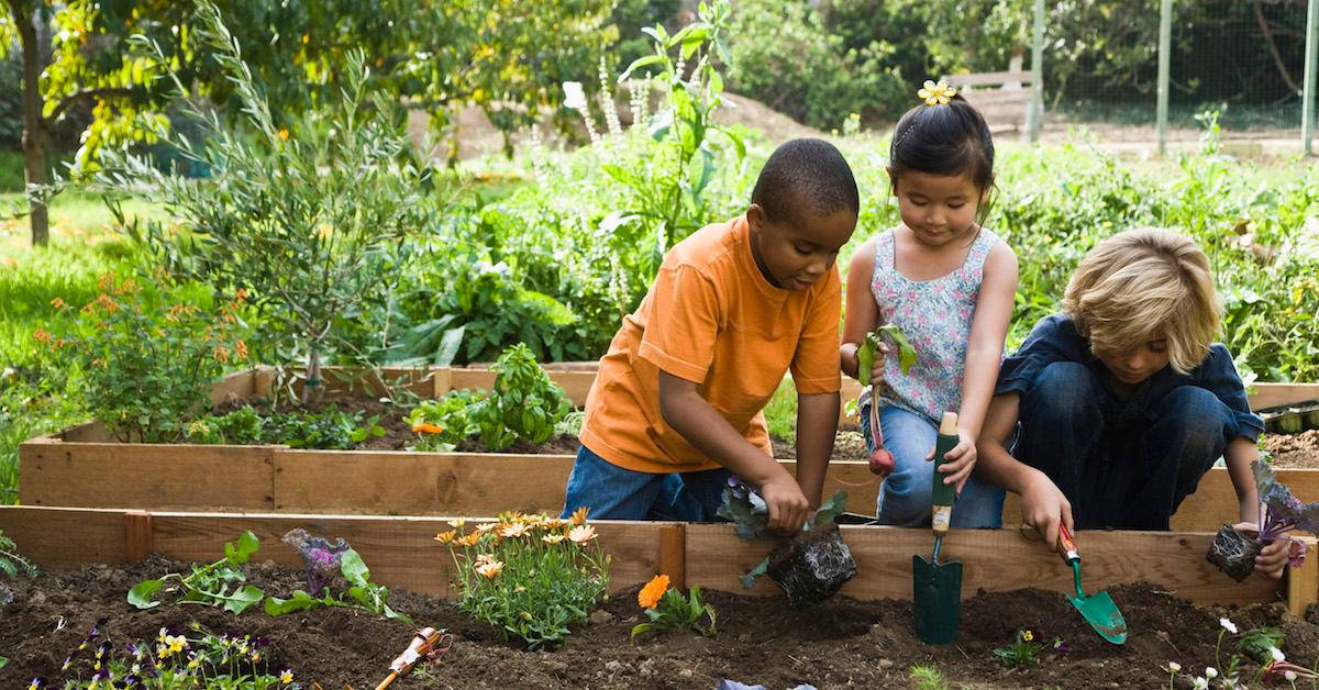 Criançasde Jardinagem Plantando Flores - Wallpaper De Computador Ou Celular. Papel de Parede