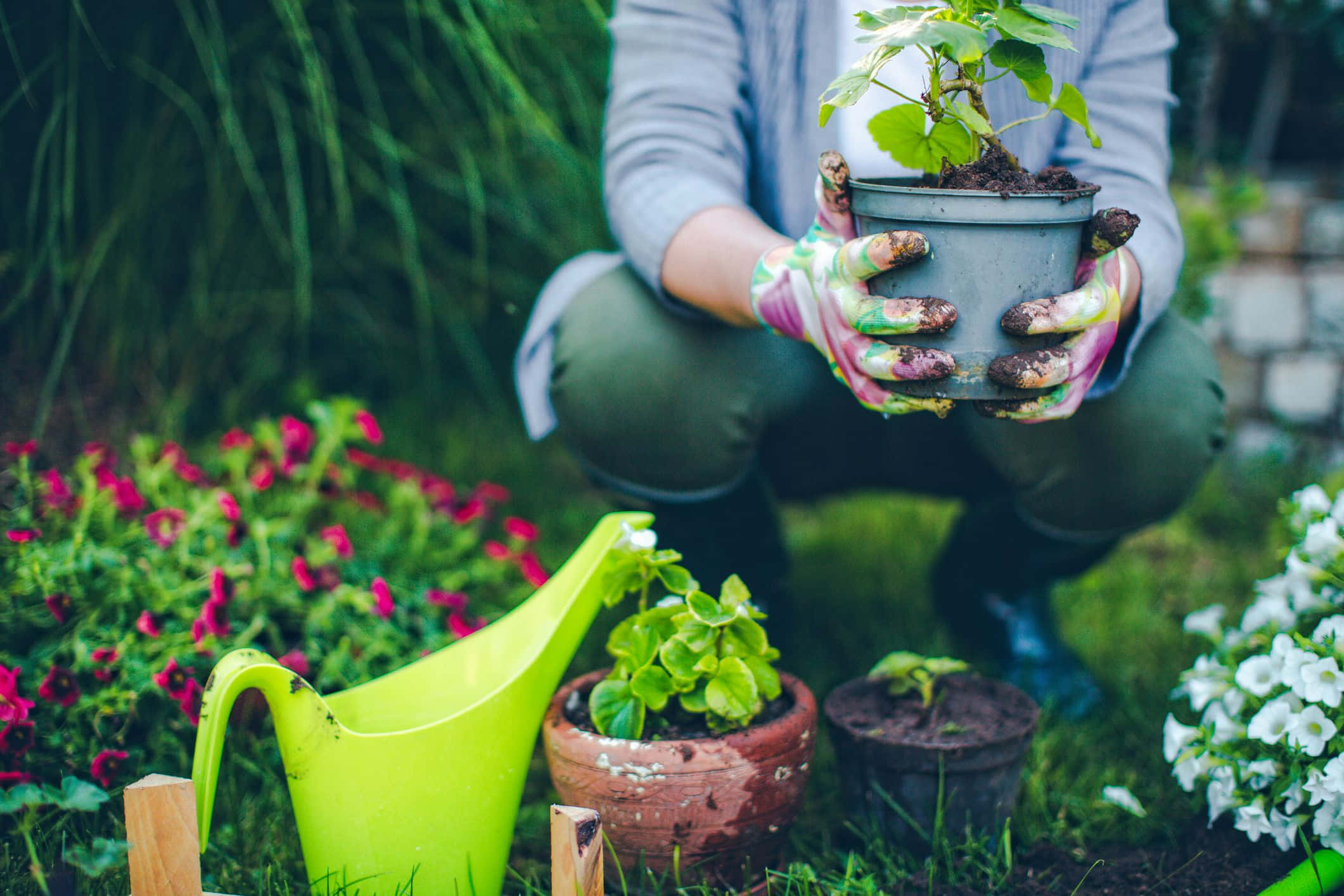 Dejandoque La Naturaleza Nos Nutra: Jardinería Para Divertirse Y Promover La Sostenibilidad.