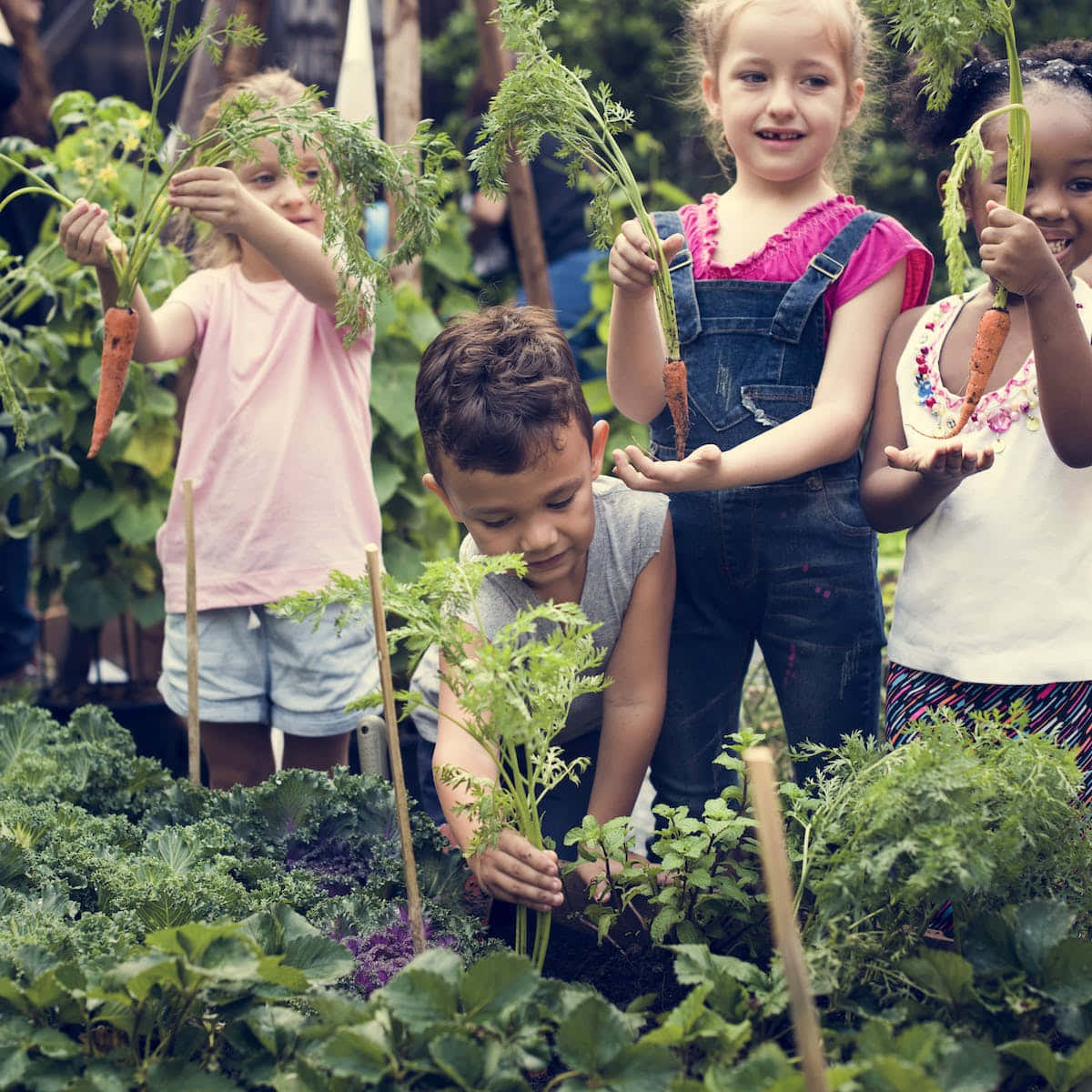 Einegruppe Von Kindern Pflanzt Gemüse In Einem Garten.