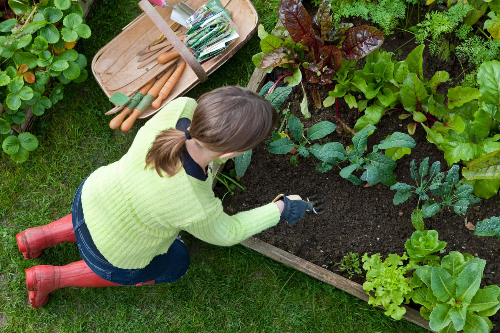 Experience the joy of gardening!