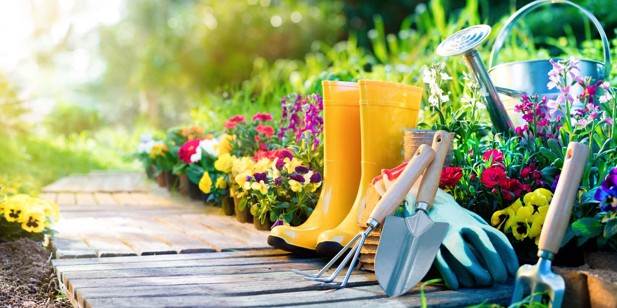 Bring the beauty of nature to your home by starting a gardening project.