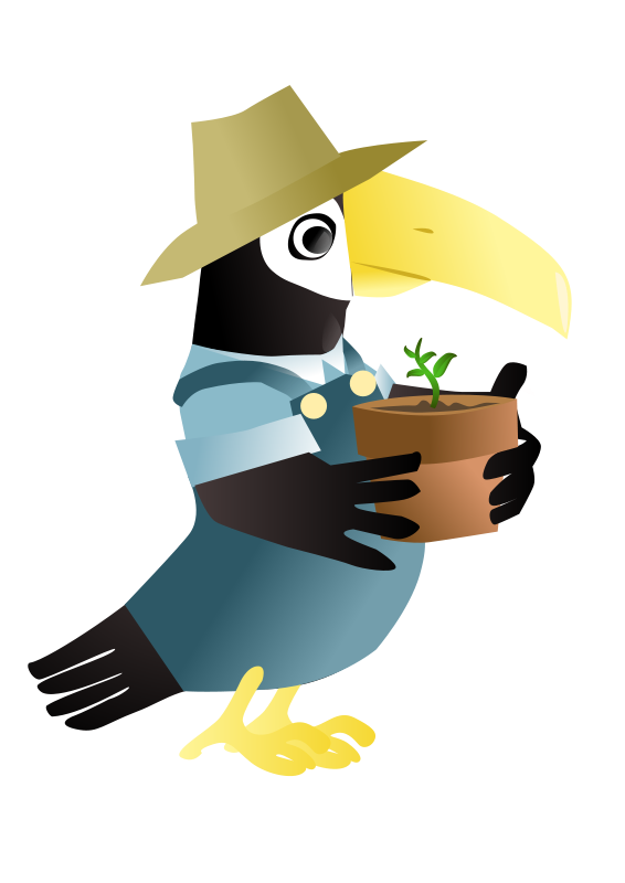 Gardening Toucan Cartoon Character PNG