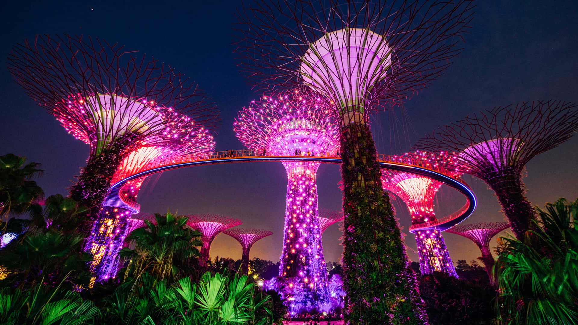 Gardens By The Bay Nighttime Illumination Wallpaper