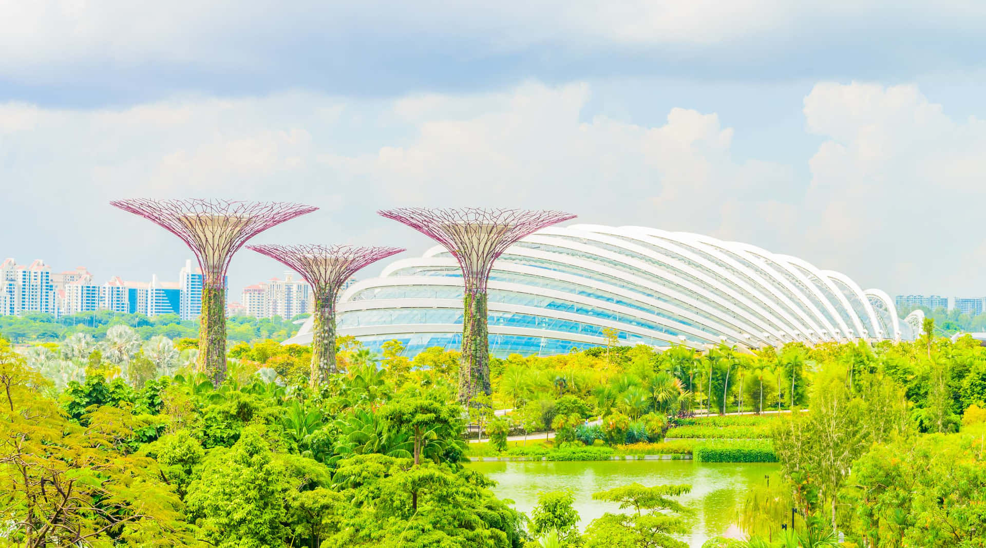 Gardens By The Bay Singapore Landscape Wallpaper