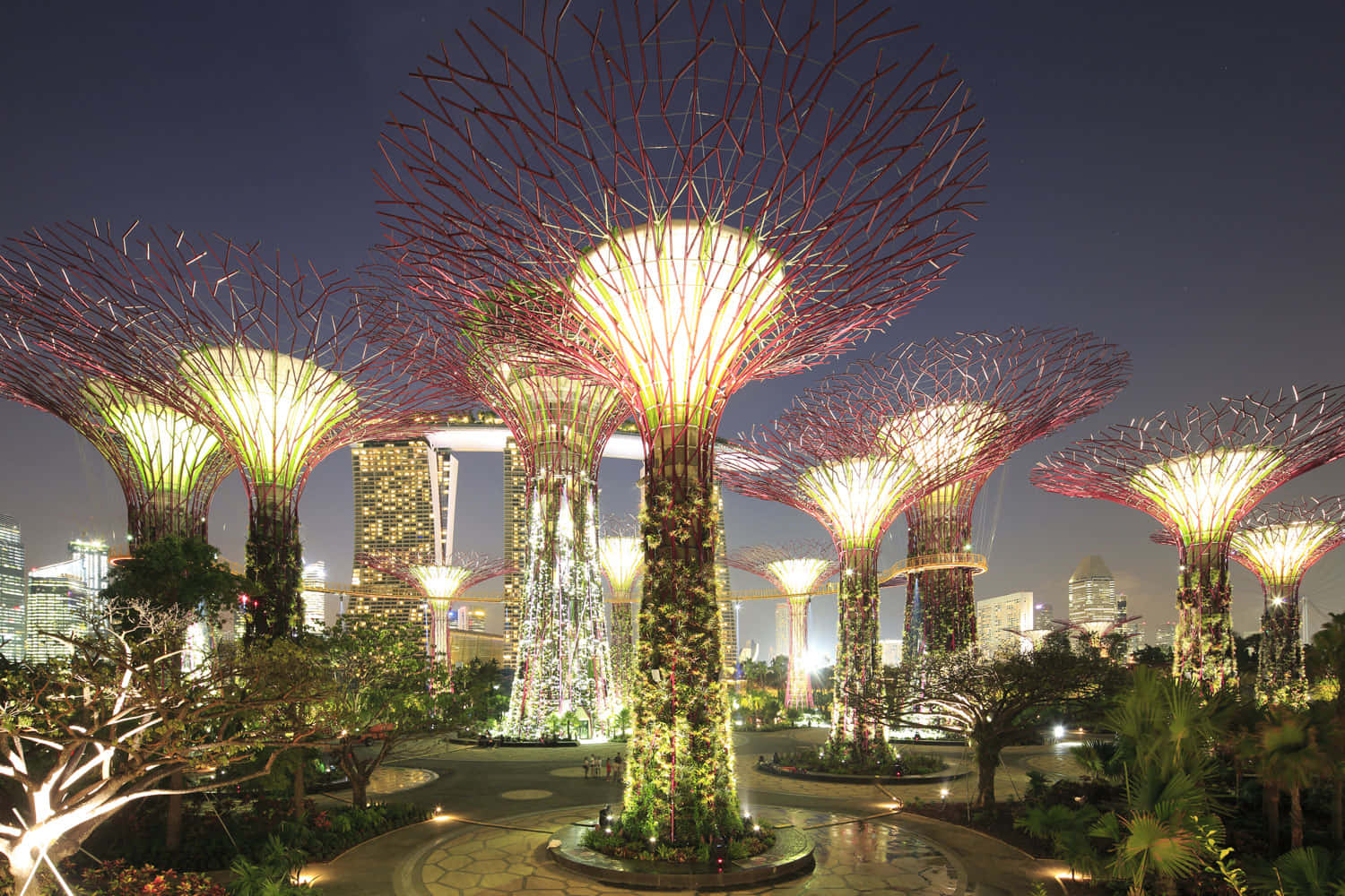 Gardens By The Bay Singapore Night View Wallpaper