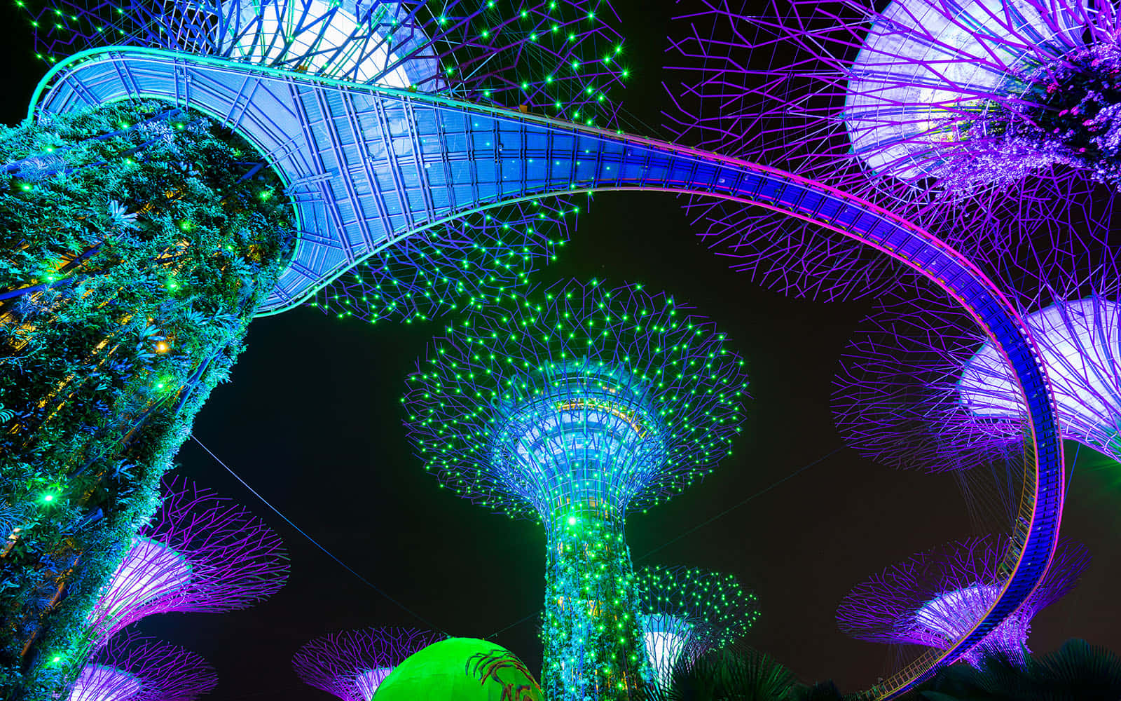 Gardens By The Bay Singapore Nighttime Illumination Wallpaper