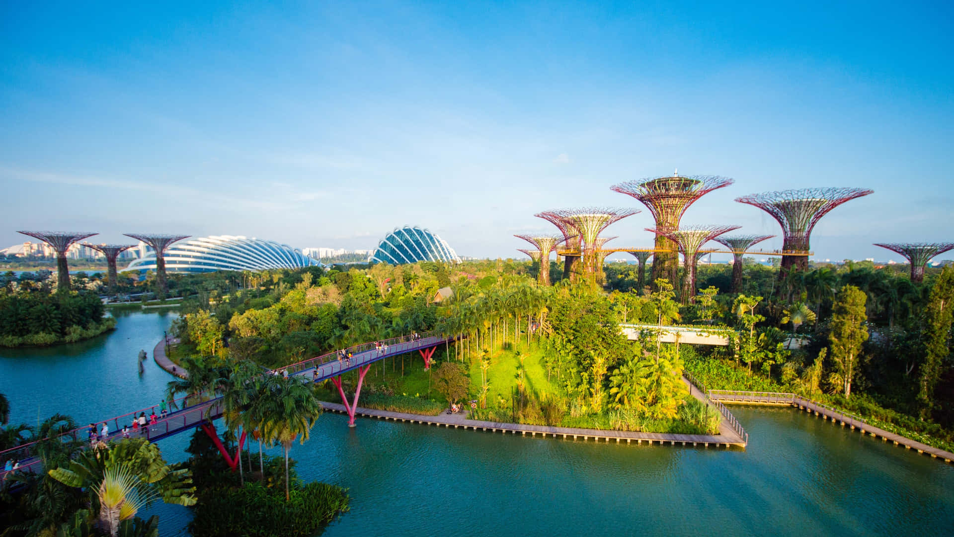 Gardens_ By_ The_ Bay_ Singapore_ Supertree_ Grove Wallpaper