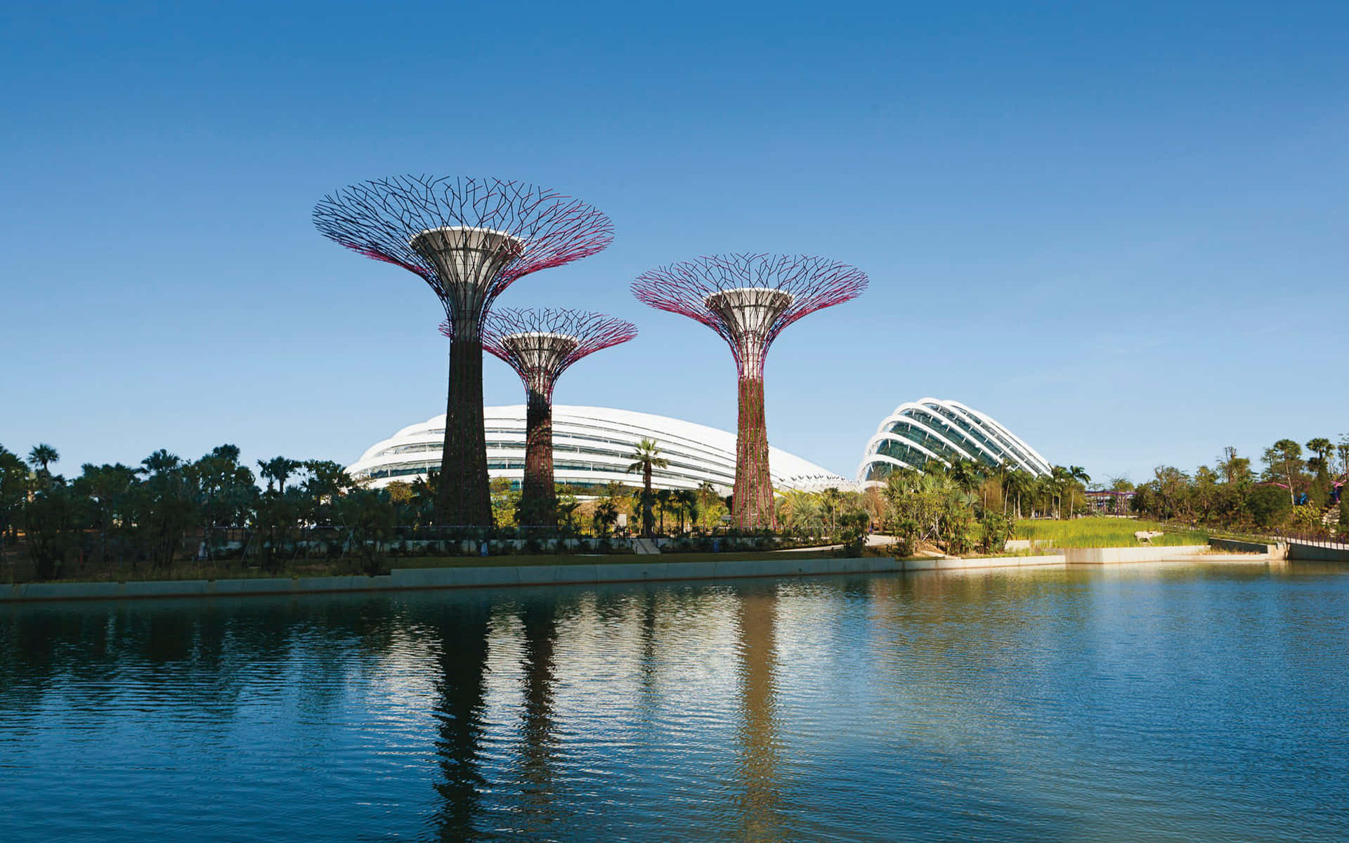 Gardens By The Bay Singapore Supertrees Wallpaper