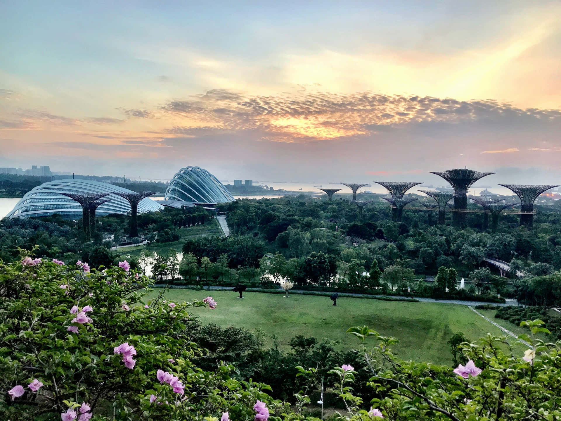 Gardens By The Bay_ Sunset_ View Wallpaper