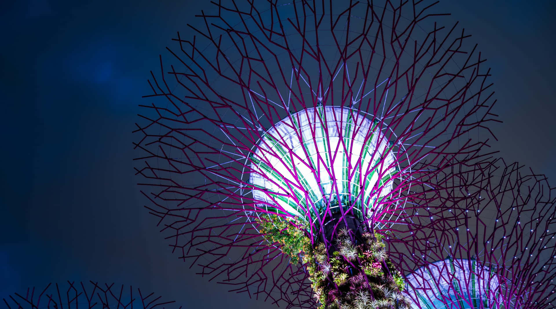 Gardens By The Bay Supertree Grove Night Lights Wallpaper