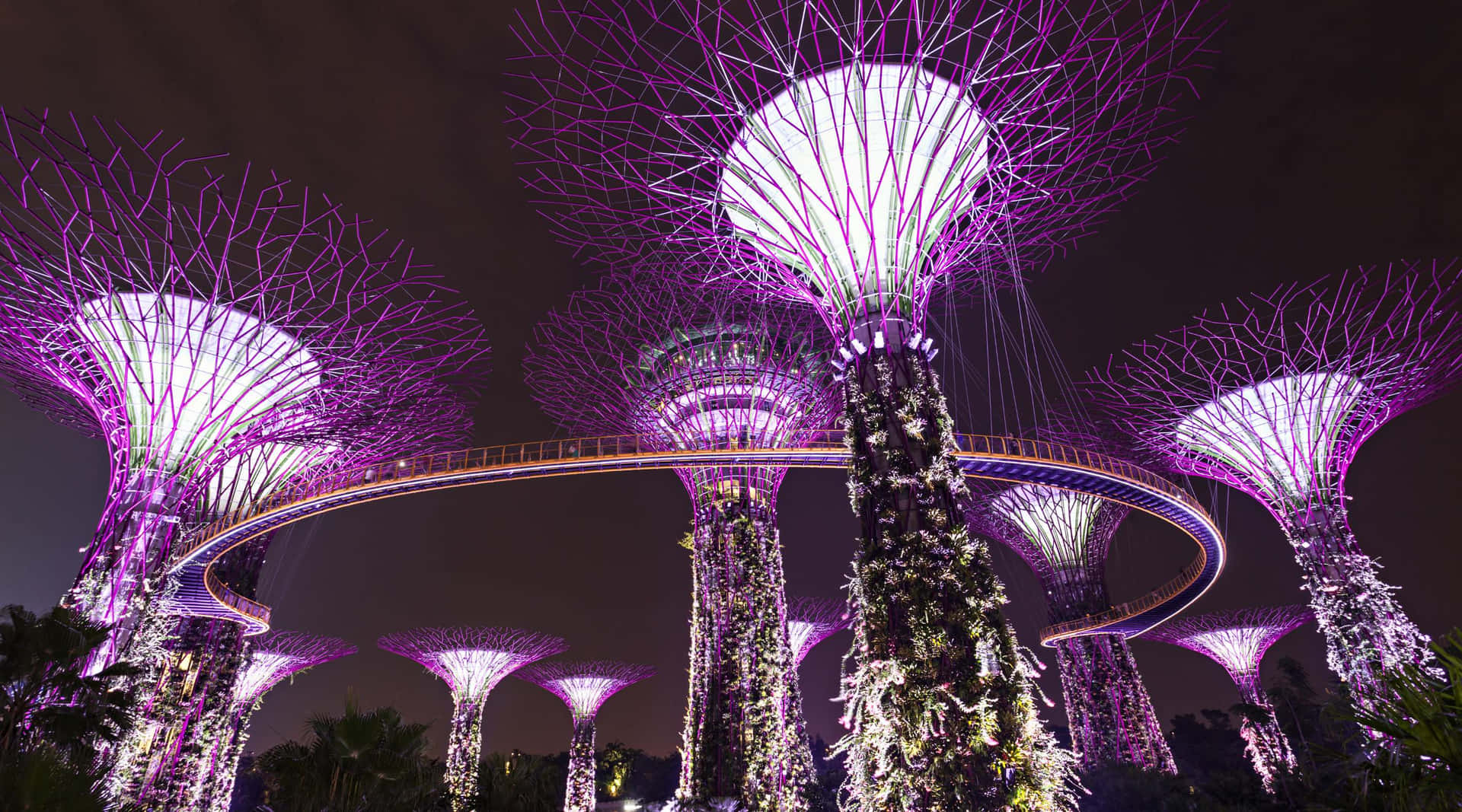 Gardens By The Bay Supertree Grove Night Lights Wallpaper