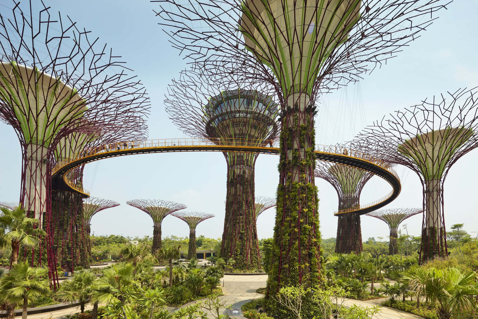 Gardens By The Bay Supertree Grove Singapore Wallpaper