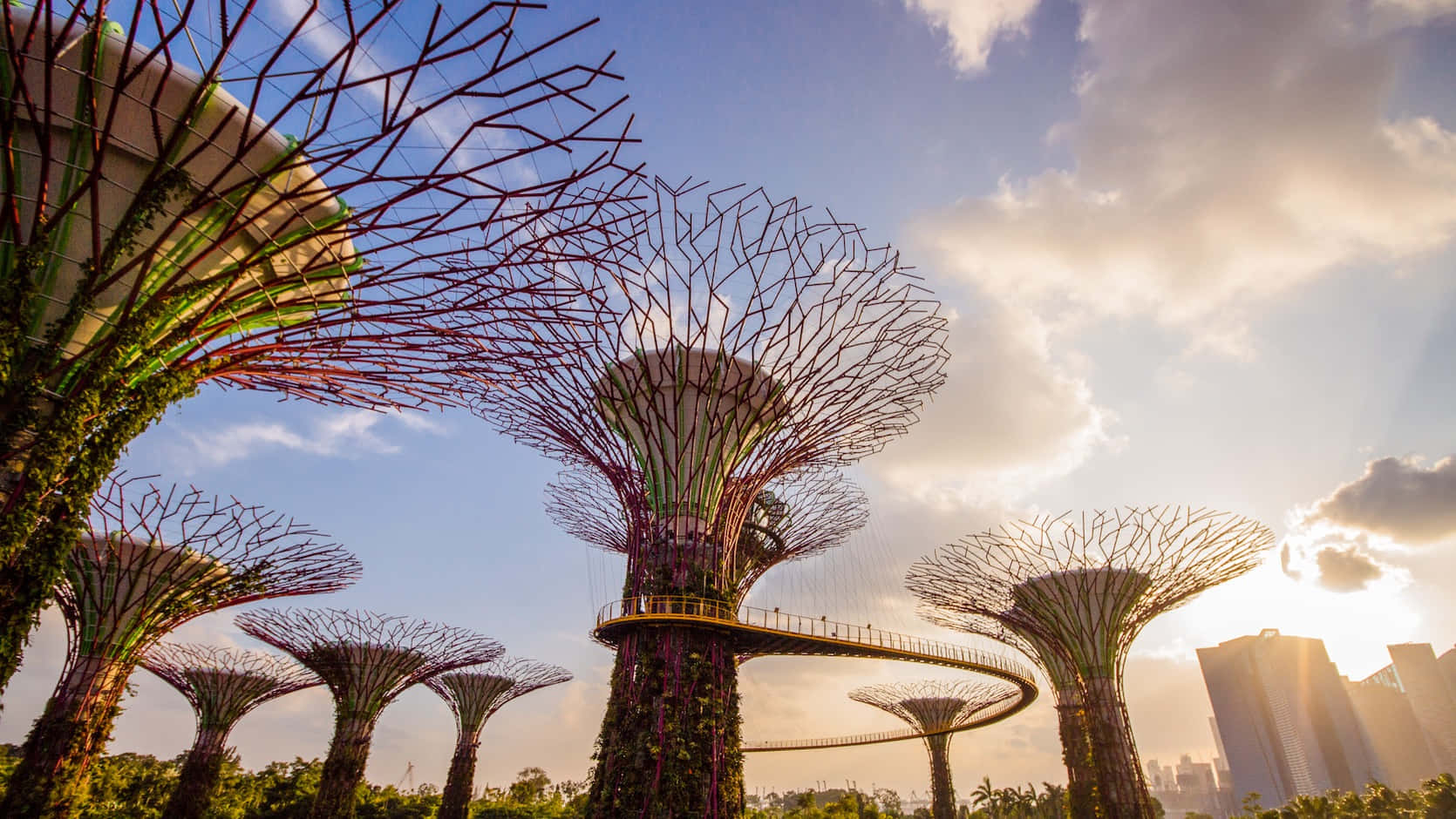 Gardens By The Bay Supertree Grove Sunset Wallpaper